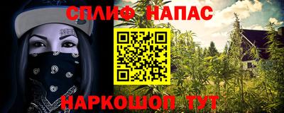 мяу мяу мука Анжеро-Судженск